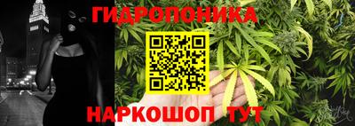 трава Балахна