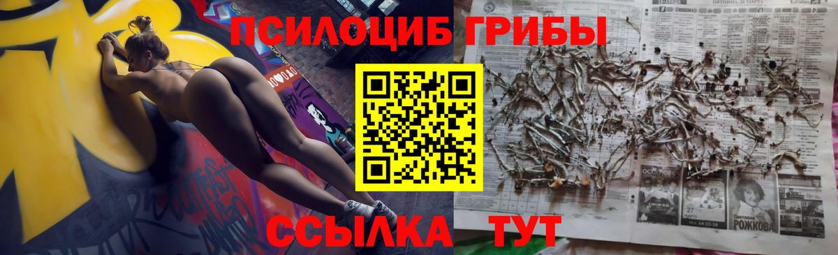 Псилоцибиновые грибы GOLDEN TEACHER  Вход с VPN  Губкин 